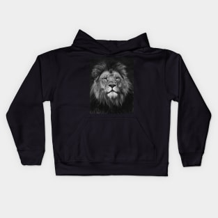 Lion | Unique Beautiful Travelling Home Decor | Phone Cases Stickers Wall Prints | Scottish Travel Photographer  | ZOE DARGUE PHOTOGRAPHY | Glasgow Travel Photographer Kids Hoodie